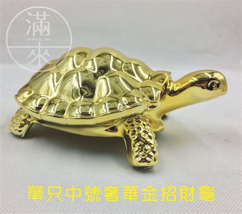 秘宗 烏龜造型